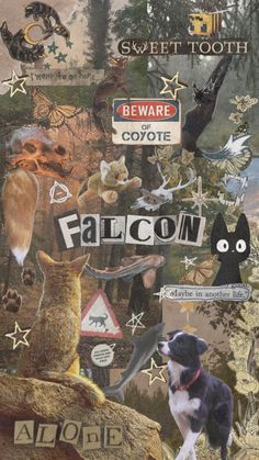 a collage of cats, dogs and other animals with the words falcon on them