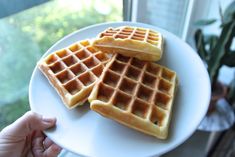 three waffles on a white plate next to a plant in front of a window