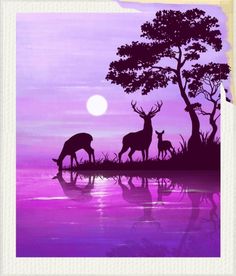 the silhouettes of two deer and their fawn are reflected in water at sunset