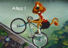 a cat on a bike jumping over a wall with the caption, allez