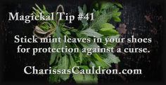 Magickal Tip #41 Witchcraft Tips, Which Witch, Magic Spell Book