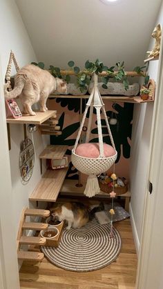 a cat sitting in a hammock on top of a wooden shelf next to a door