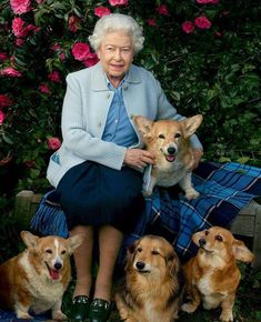 the cover of vanity fair magazine featuring queen elizabeth and her corgi puppies