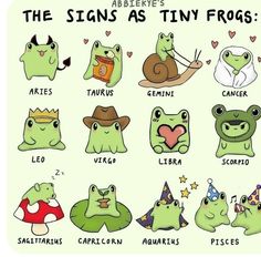 the zodiac signs as tiny frogs