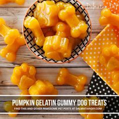 pumpkin gelatin gummy dog treats in a bowl