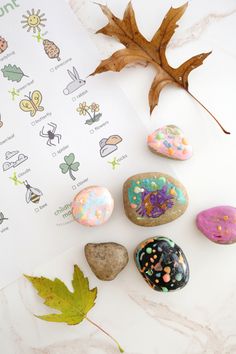 some rocks and leaves on a table with an activity sheet for children to learn how to paint