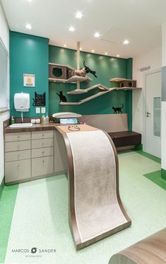 an office with green and white walls, carpeted flooring and shelves on the wall