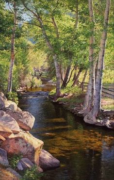 a painting of a stream in the woods with rocks and trees on either side by itself