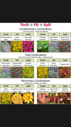 the different types of flowers that are in this garden info sheet, which includes their names and