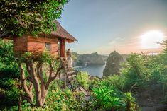 a tree house on top of a hill near the ocean and trees with ladders leading up to it