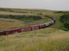 a train traveling down tracks through a lush green field next to tall grass and trees