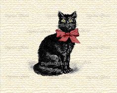 a black cat wearing a red bow tie