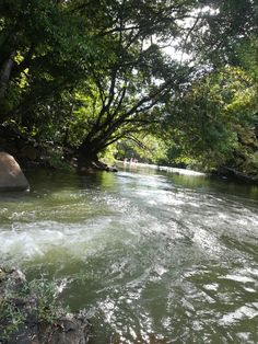 the water is flowing through the trees and rocks