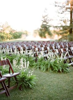 rows of wooden chairs sitting on top of a lush green field filled with white flowers