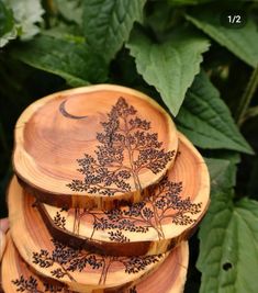 four wooden plates with designs on them sitting in front of green leaves and foliages