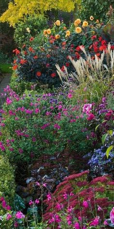 a garden filled with lots of colorful flowers