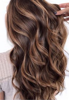 Dark Brown Hair Reverse Balayage, Dark Brown Hair To Blonde Balayage, Hazelnut Highlights On Brown Hair, Full Foil Highlights Brunettes, Summer Brunette Hair Balayage Sun Kissed, Medium Brown With Caramel Highlights, Beautiful Light Brown Hair, Rich Brown Hair Color, Chocolate Balayage