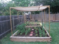 an outdoor garden area with various plants in the ground and a gazebo over it