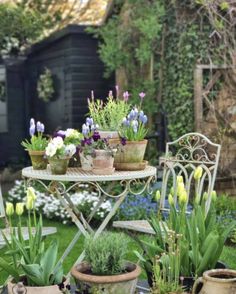 several potted plants are sitting on a table in the middle of an outdoor garden