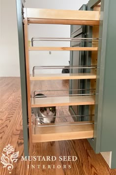 a cat hiding in the bottom shelf of a cabinet