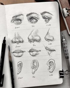 an open notebook with various types of eyes and nose