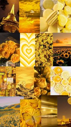 a collage of pictures with yellow flowers and the eiffel tower in the background