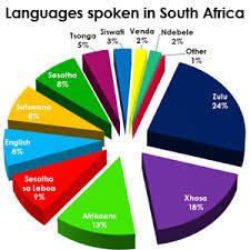 a pie chart showing languages spoken in south africa