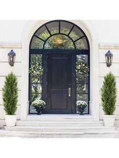 a black front door with two potted plants