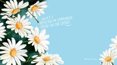 some daisies are in front of a blue background with the words, what if you're drunk? break in the light