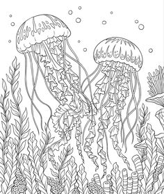 two jellyfishs swimming in the ocean with plants and fish coloring pages for adults