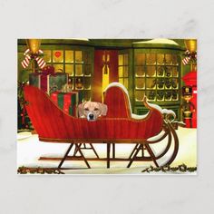 a dog is sitting in a sleigh with presents on the floor behind him