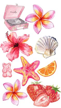 watercolor painting of flowers, seashells and other items on a white background