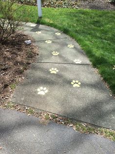 a sidewalk with some paw prints on it