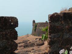 an old stone wall with plants growing out of it and the ocean in the background