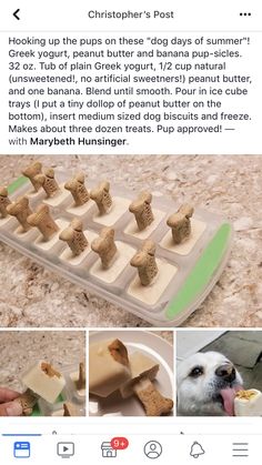 a dog is eating out of an ice tray with food in it and the caption reads,