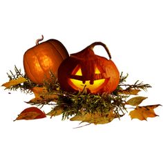 two carved pumpkins sitting on top of leaves