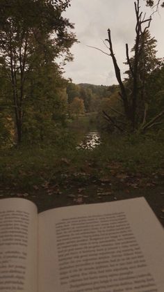 an open book sitting on the ground next to trees