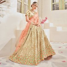 Peach Lehenga, Lehenga Style Saree, Lehenga Style, Net Lehenga, Lehenga Choli Online, Beige Outfit, Pakistan Fashion, Satin Saree, Designer Lehenga