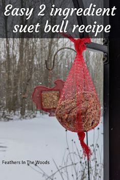 the cover of easy 2 ingredient suel ball recipe is shown in front of snow covered trees