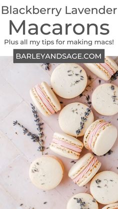 blackberry lavender macarons with text overlay reading blackberry lavender macarons plus all my tips for making macs