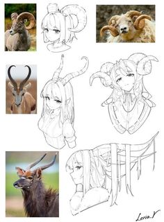 some drawings of different animals and their faces