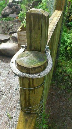 a wooden pole with a plant growing out of it next to a fence and grass