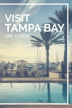 a palm tree next to a pool with boats in the background that reads visit tampa bay like a local