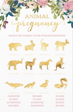 an animal pregnancy chart with gold foil on the top and flowers in the bottom corner