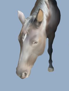 a digital painting of a horse's head on a blue background