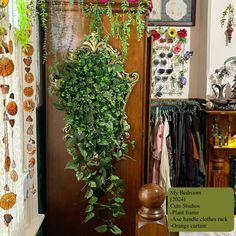 a green plant hanging from the side of a wooden door