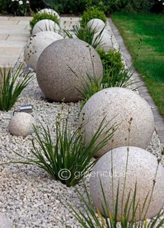 some very pretty rocks and plants in the grass