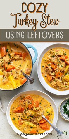 two bowls filled with turkey stew and carrots