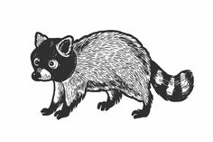 a black and white drawing of a raccoon