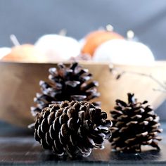 two pine cones sitting next to each other on a table